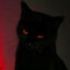 meow soury cream