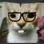 Sus Cat