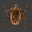 ZXC_Gitler1337_KON4A_B_Deda