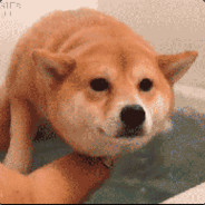 LongZhuTV_1090304_maike