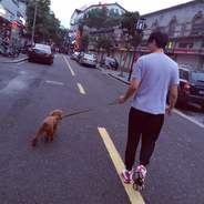 辛巴的暖心爸比