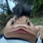 陈冠希