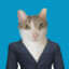 CEO CAT