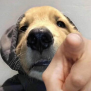 她用姨妈骗我是处.