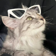 檀木味发香的她