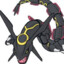 Rayquaza