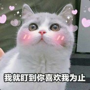 ʚ猫玖ɞ