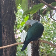 Avatar of Boundbread