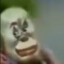 cursed