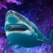 Galaxy Shark