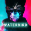 WaterBird