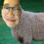 sheepney