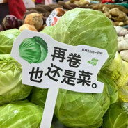 卷不动了、加纳