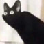 Avatar of Noobzera99