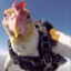 V|BIg Cock Boss