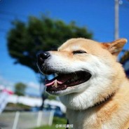 ikun