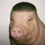 teorassologie#sunfire