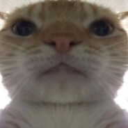 Не видел женщин