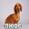 gazan