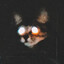 meo