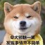 50514483