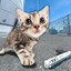 fingerpainter