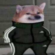 Nabzozaurł avatar