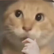 省秀掉下个小耄耋