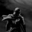 borz_077