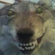 AAA