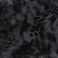 Alpha05117