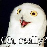 Uważaj Z Kim Tańczysz Sukwo:#