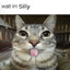 silly billy
