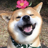 回首望月小朋友