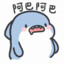 ～鲨～🦈