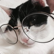 고양이 발냄새 감별사's Avatar