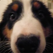Horace - steam id 76561197964410474