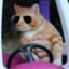 Orange The Driving Mafia Cat