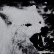 POEHAVSHIY avatar