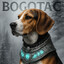 bogotac.