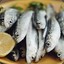 Anchovy