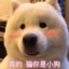 我真的是啊哈