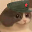 JJZJ