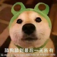 鸽子王陪玩二号