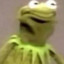 kermit22