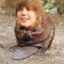 Justin Beaver