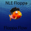 NLE FLOPPA