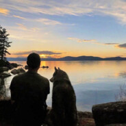 翻斗花园胡图图