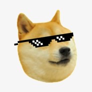 totallydoge