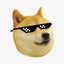 totallydoge